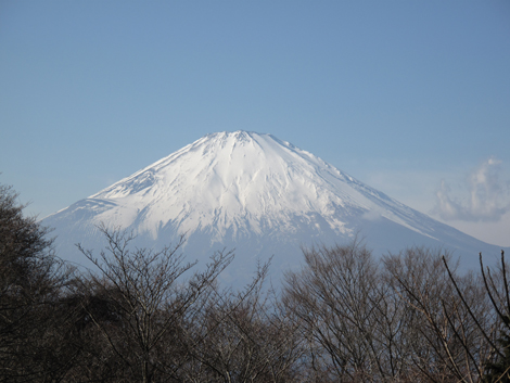20180116hike (194)